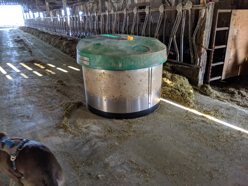 Illustration for article titled Toby, dairy, and robot feed pusher